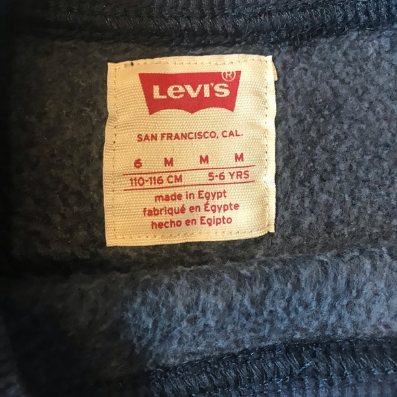 LEVÎS Hoodie - Picture 4 of 5